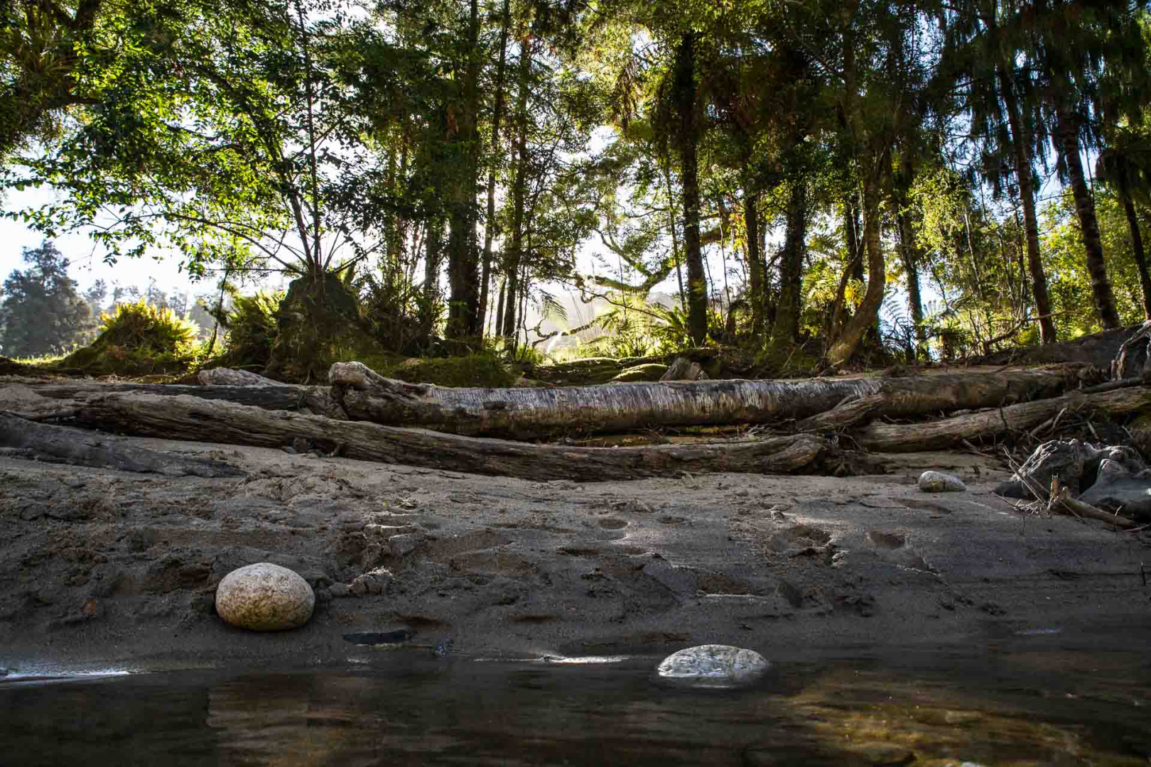 Ingrandireraio 10 février 2019 | 18h42