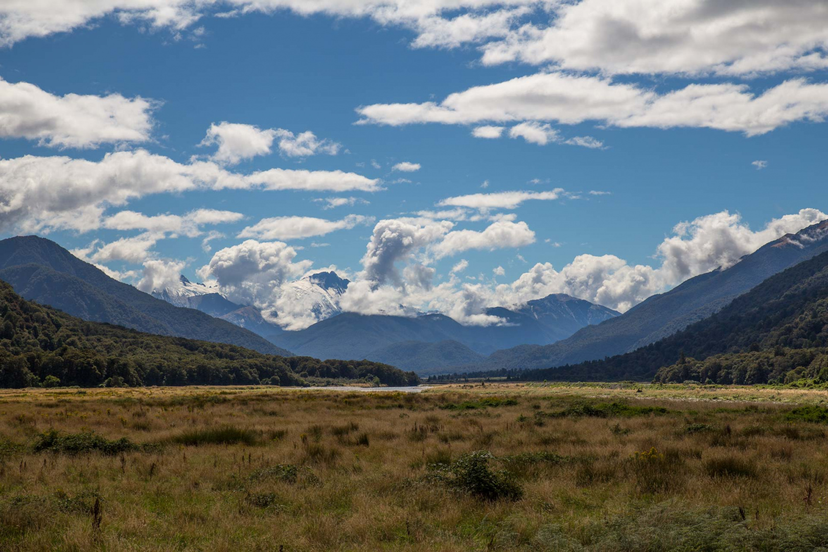 Zoom in 15 février 2019 | 11h56