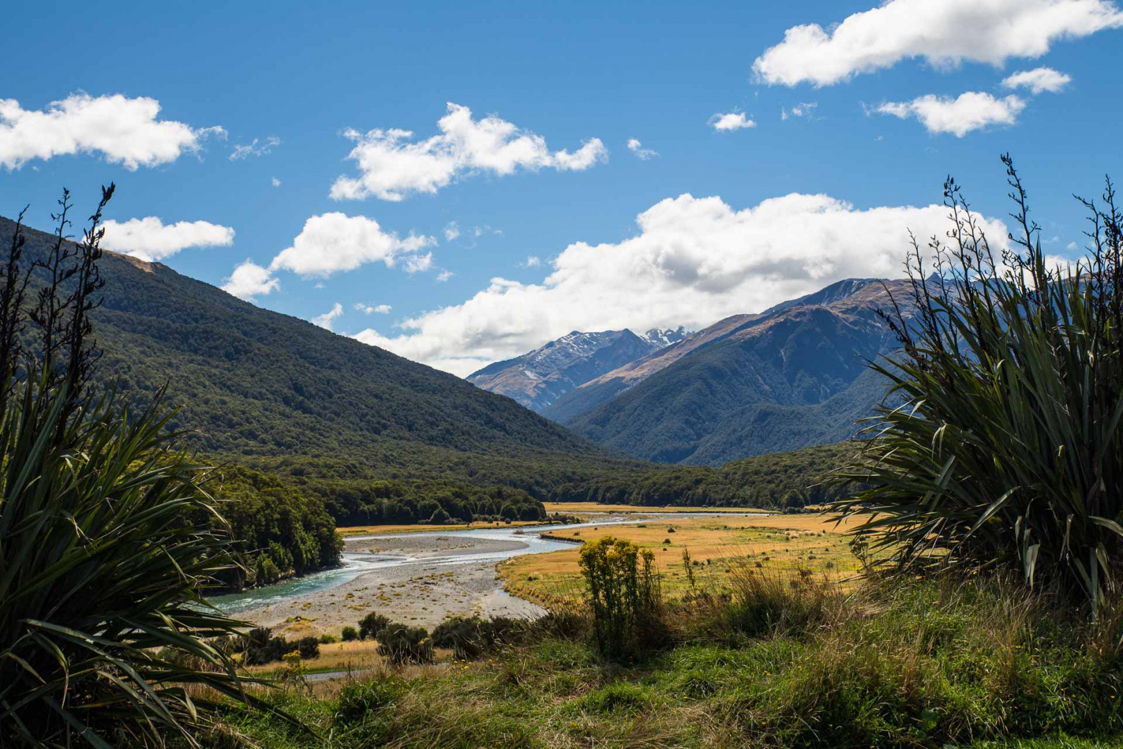 Zoom in 15 février 2019 | 12h26