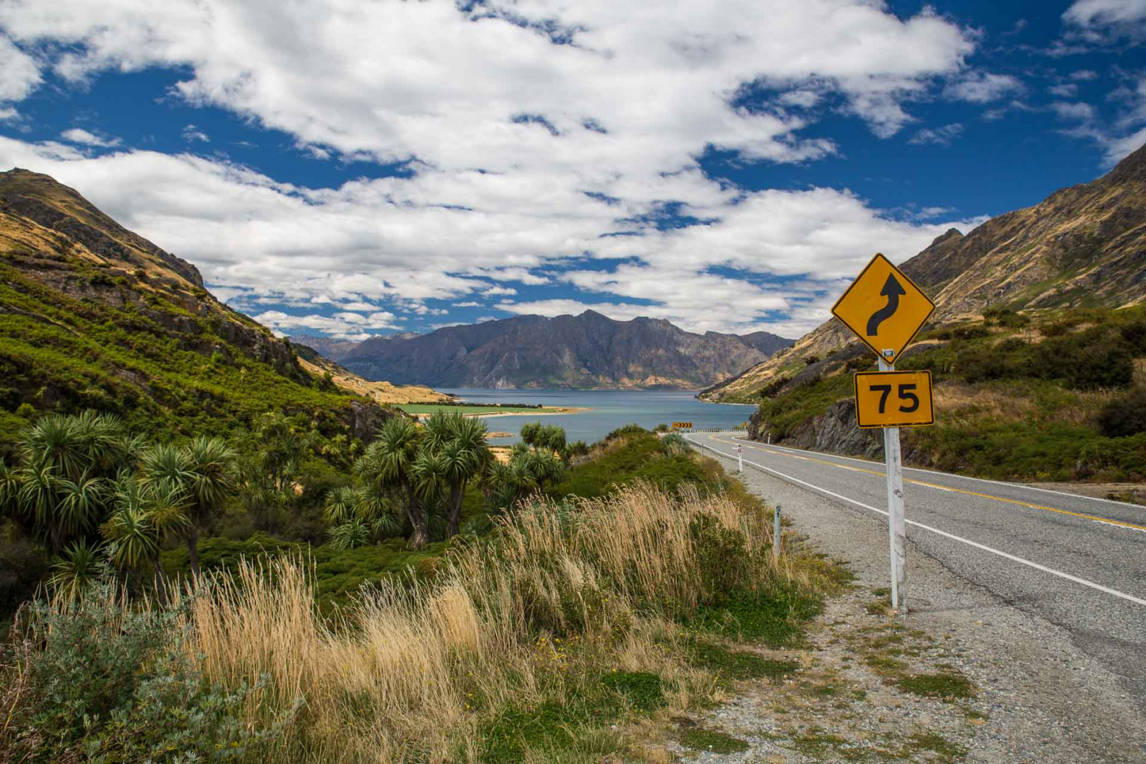 Zoom in 15 février 2019 | 13h31