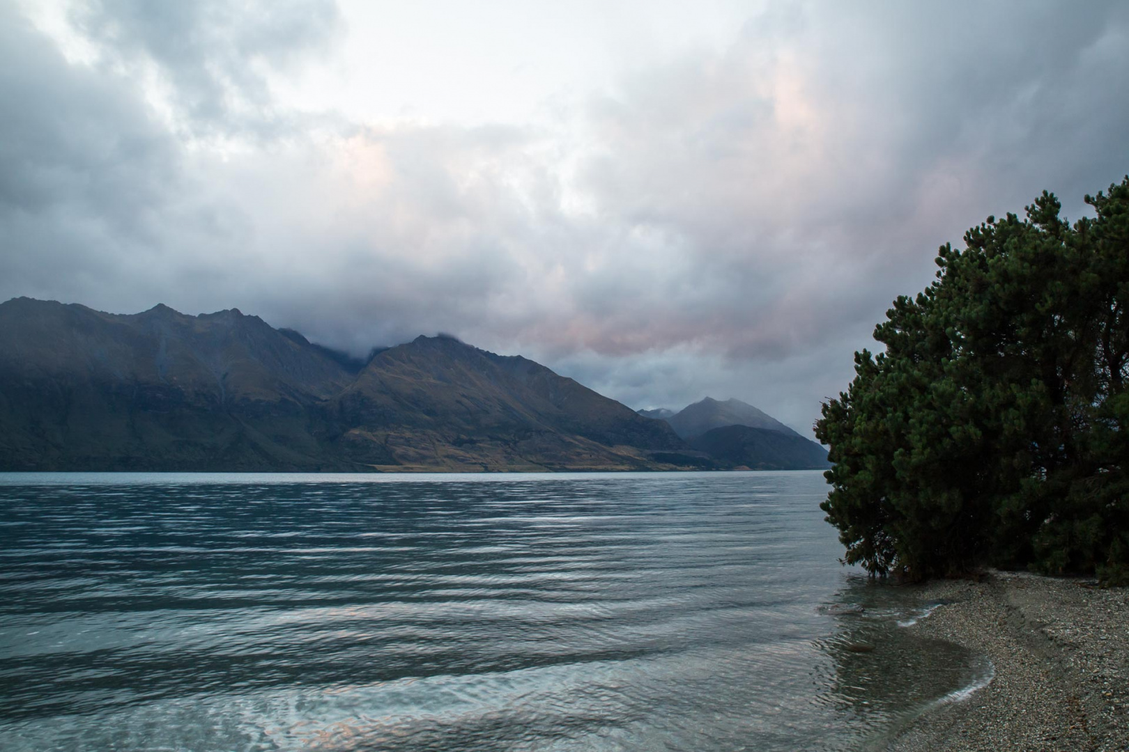 Zoom in 15 février 2019 | 20h52