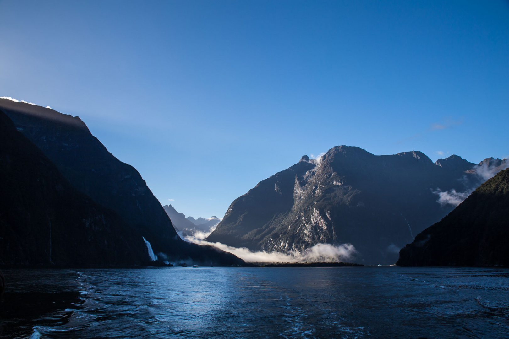 In zoomuary 20 février 2019 | 9h11