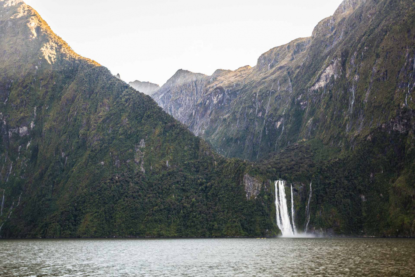 In zoomuary 20 février 2019 | 9h29