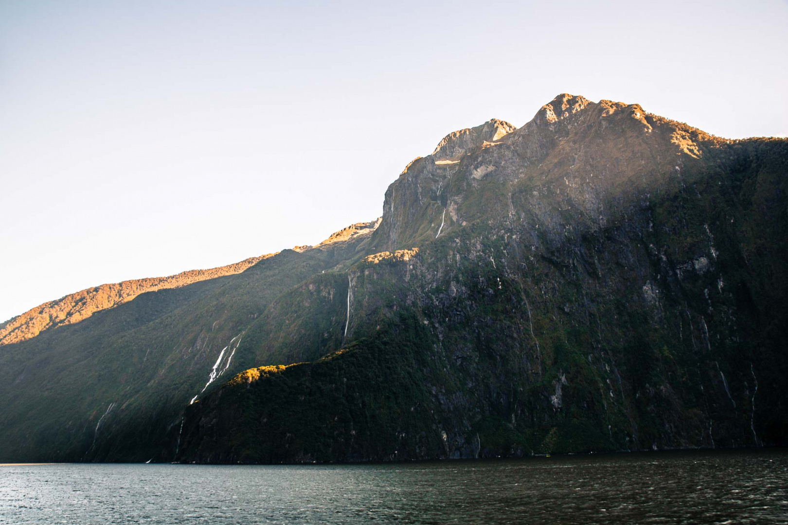 In zoomuary 20 février 2019 | 9h31