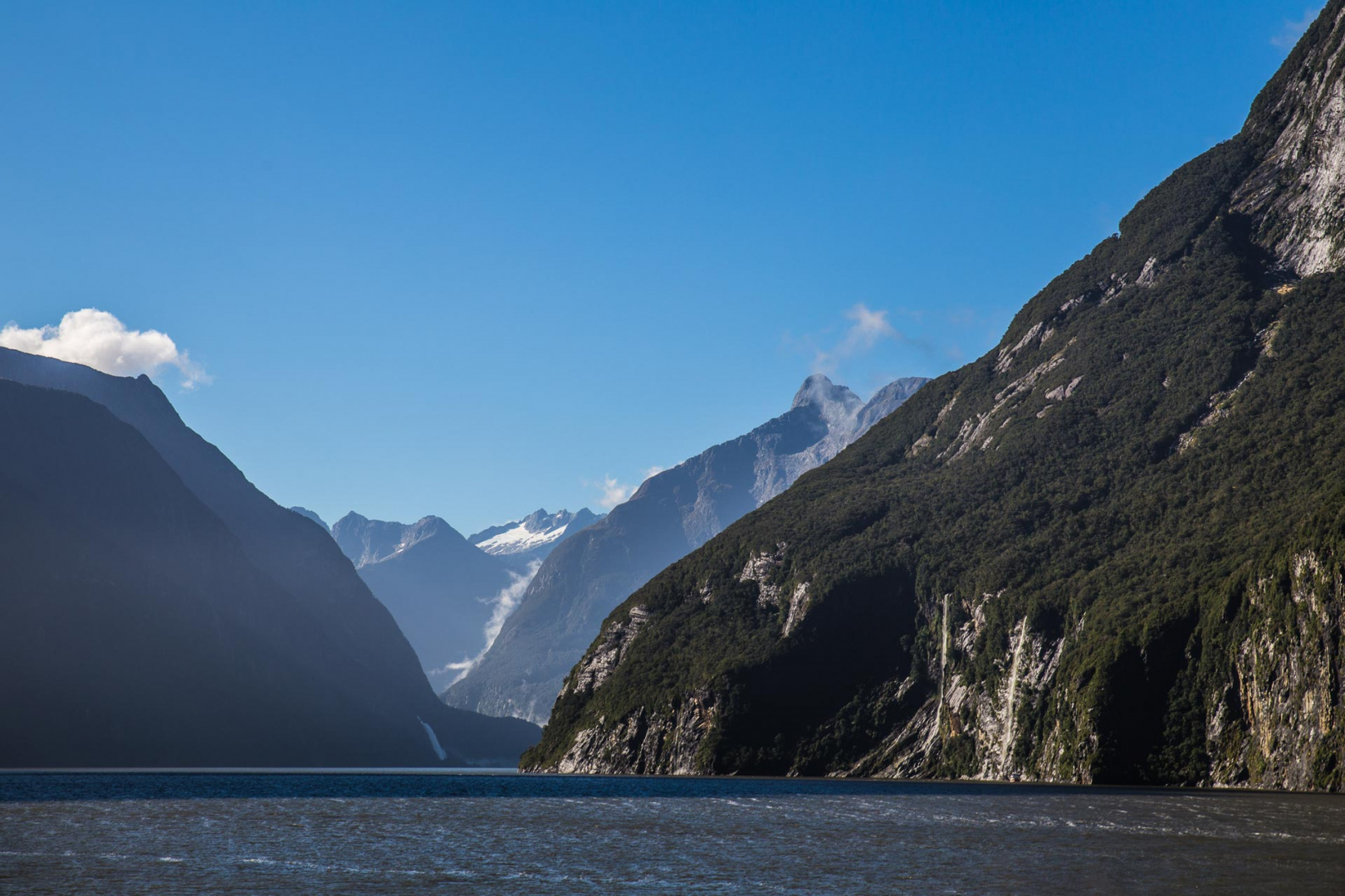 In zoomuary 20 février 2019 | 10h02