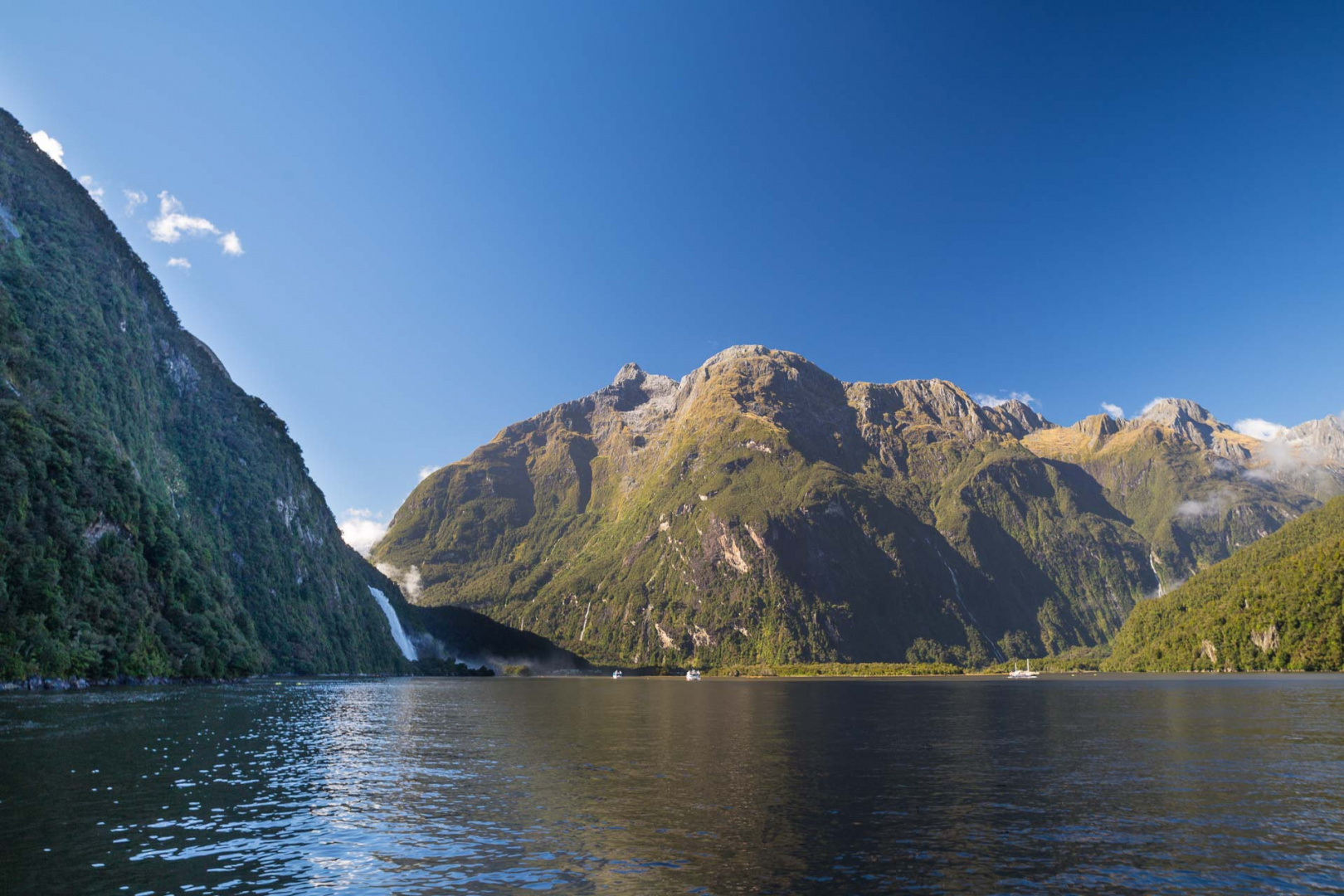 In zoomuary 20 février 2019 | 10h34