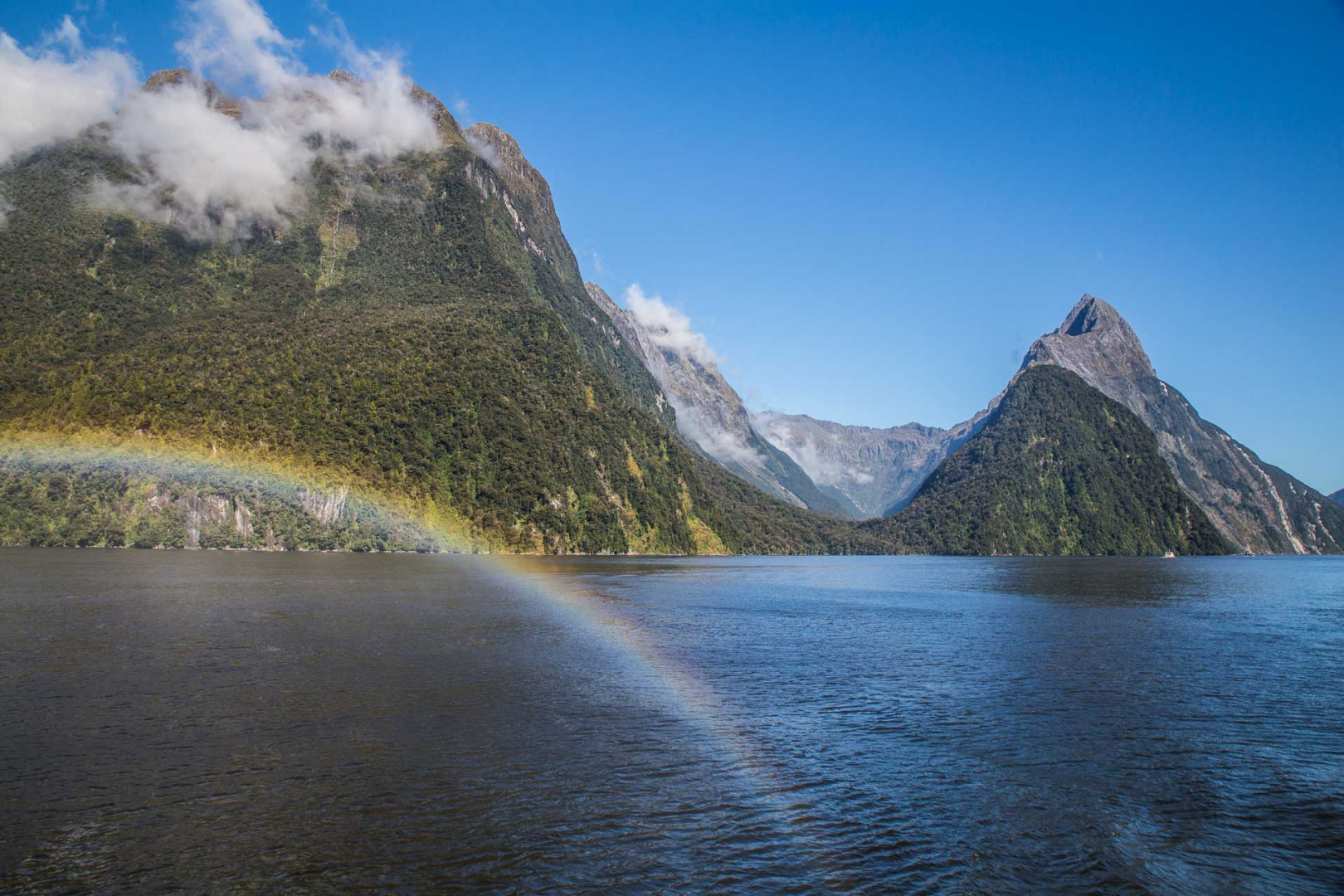 In zoomuary 20 février 2019 | 10h43