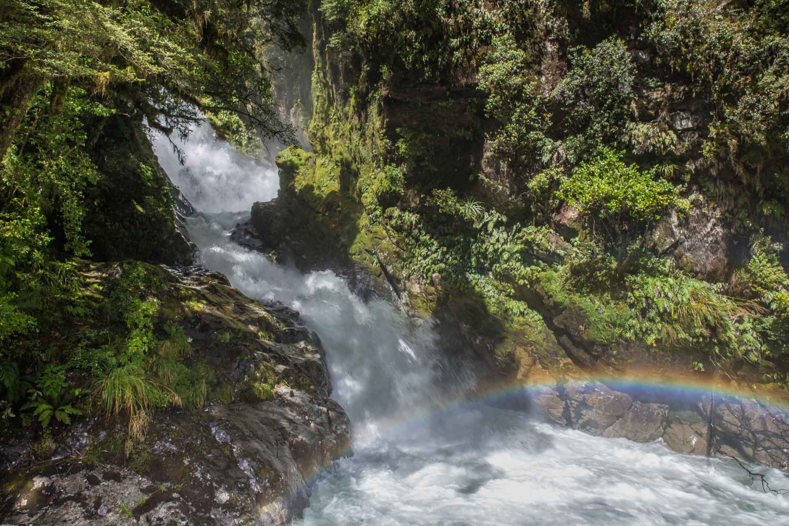 In zoomuary 20 février 2019 | 12h25