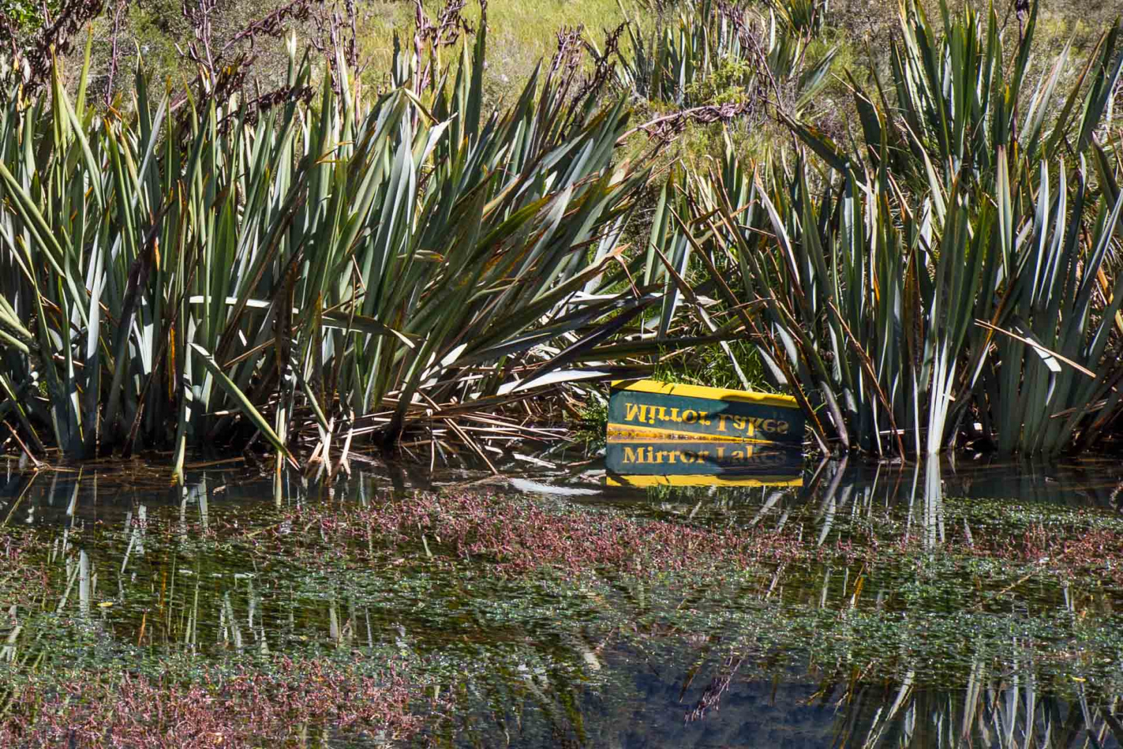 In zoomuary 20 février 2019 | 13h03