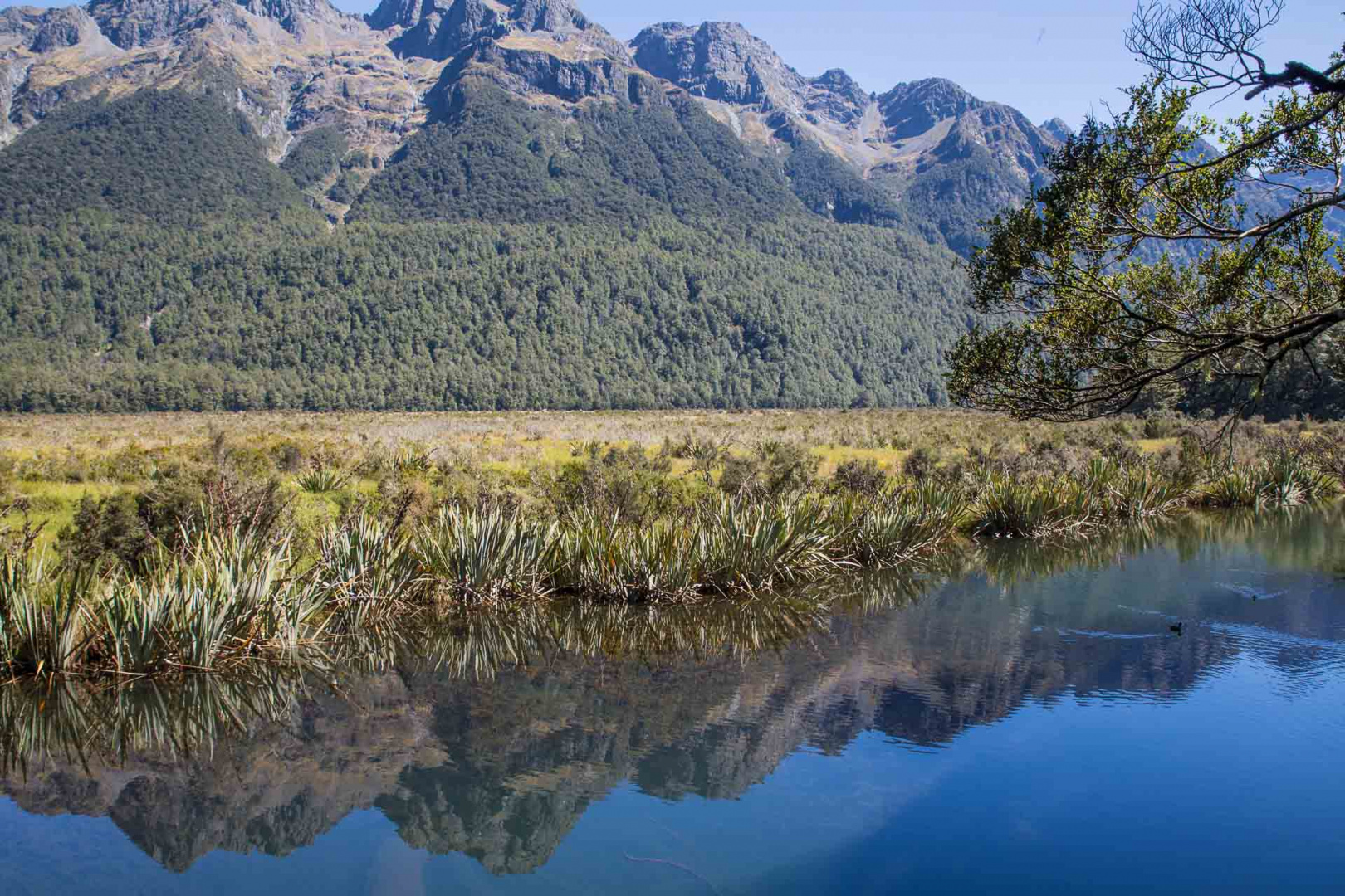 In zoomuary 20 février 2019 | 13h04