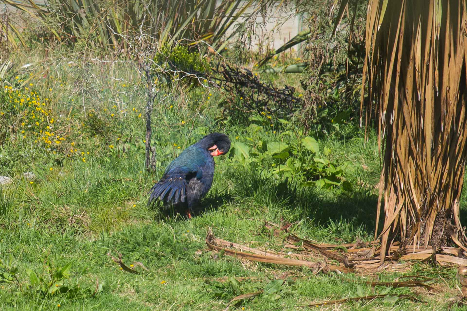 In zoomuary 20 février 2019 | 16h08