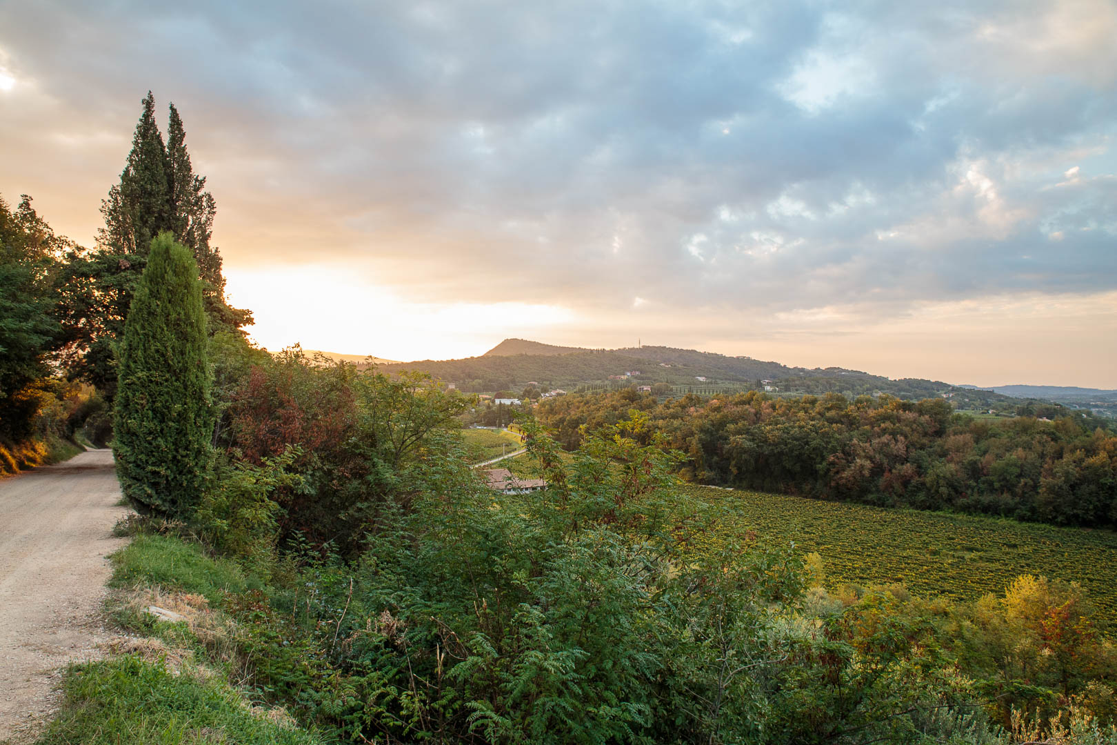 Zoom in 16 septembre 2022 | 8h03.jpg