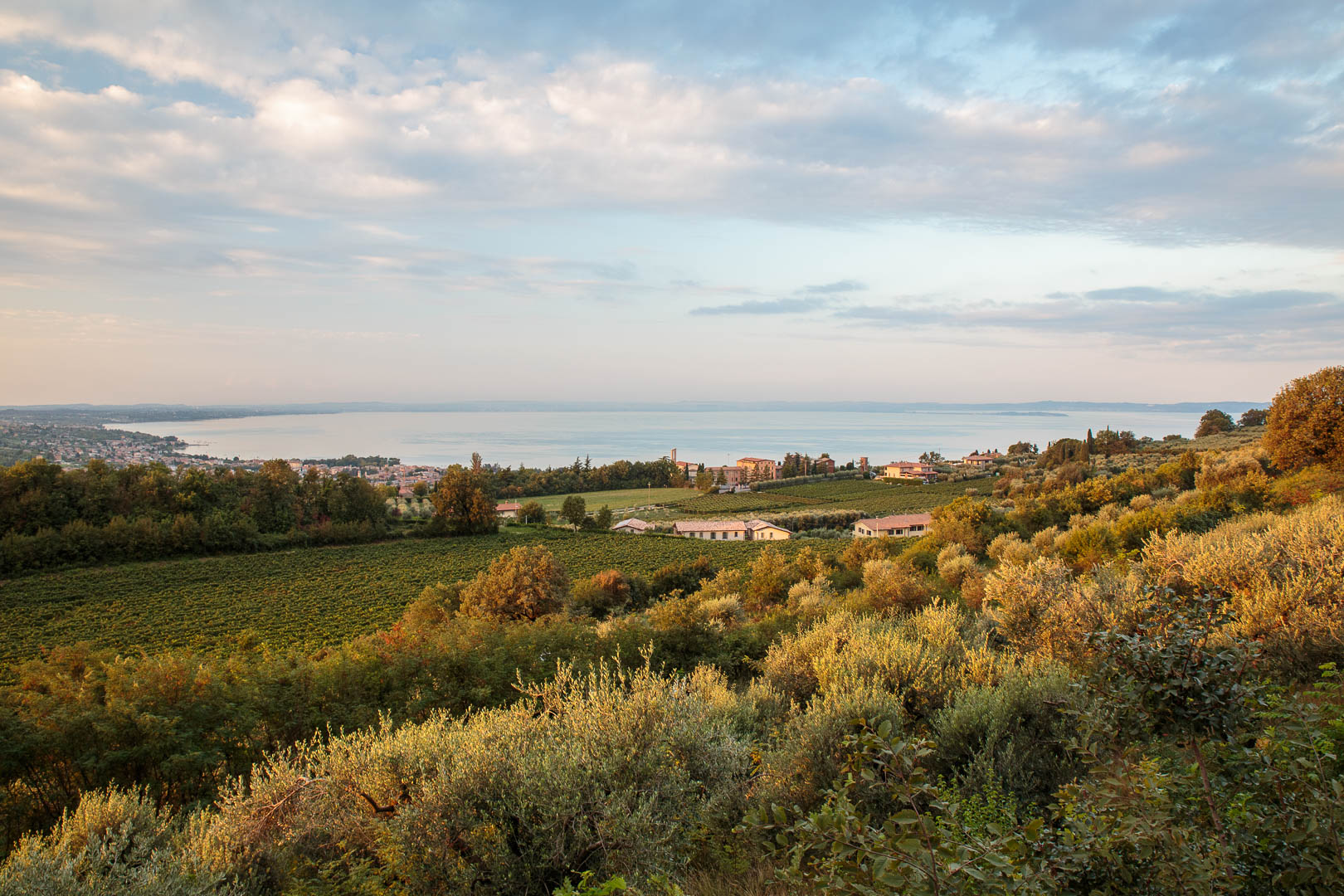 Zoom in 16 septembre 2022 | 8h06.jpg