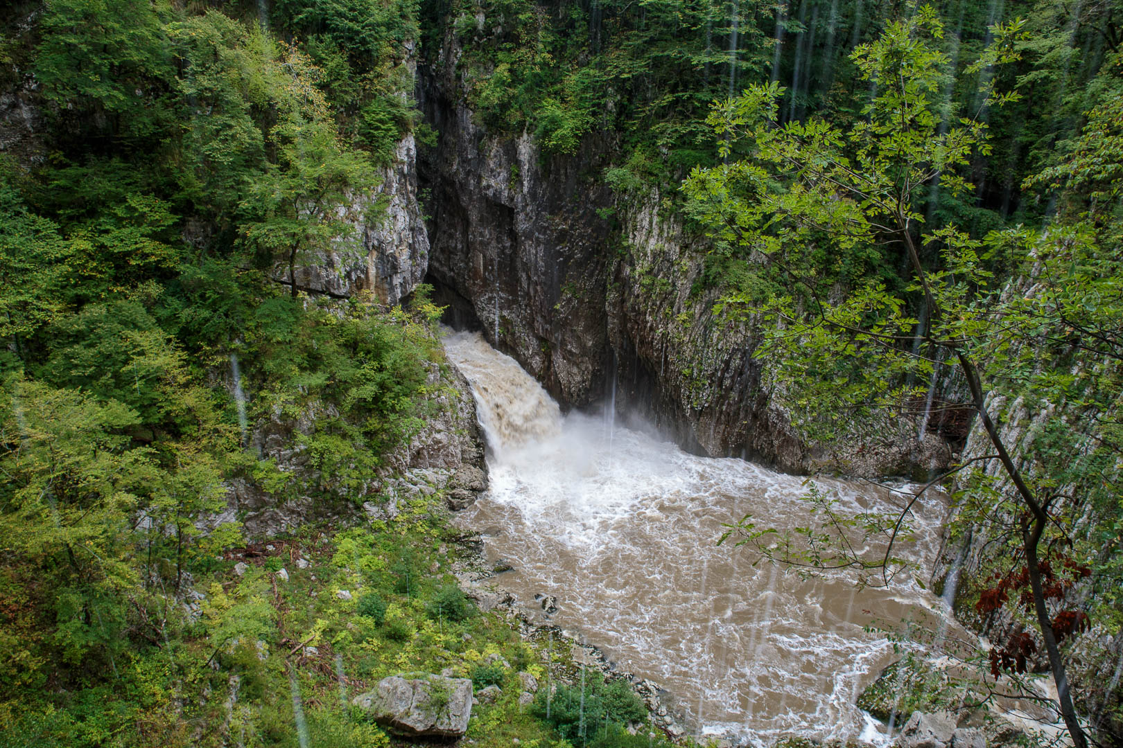 Zoom in 17 septembre 2022 | 16h04.jpg