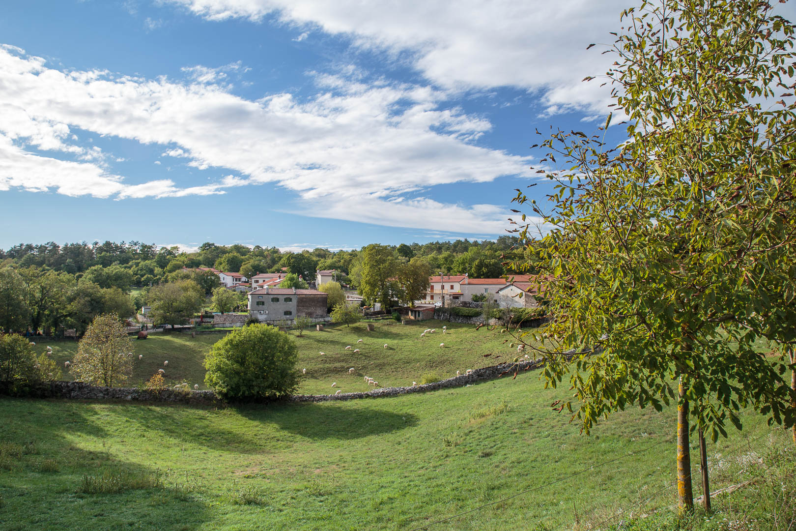 Zoom in 17 septembre 2022 | 17h00.jpg