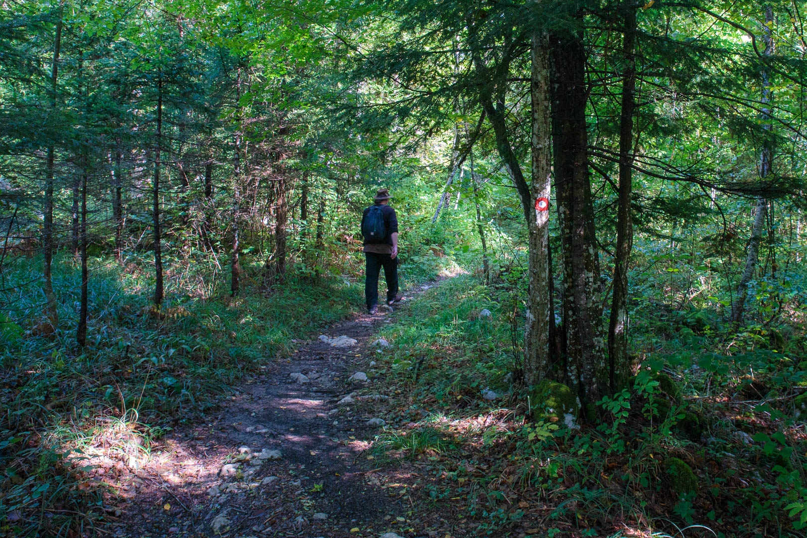 Zoom in 18 septembre 2022 | 10h42.jpg