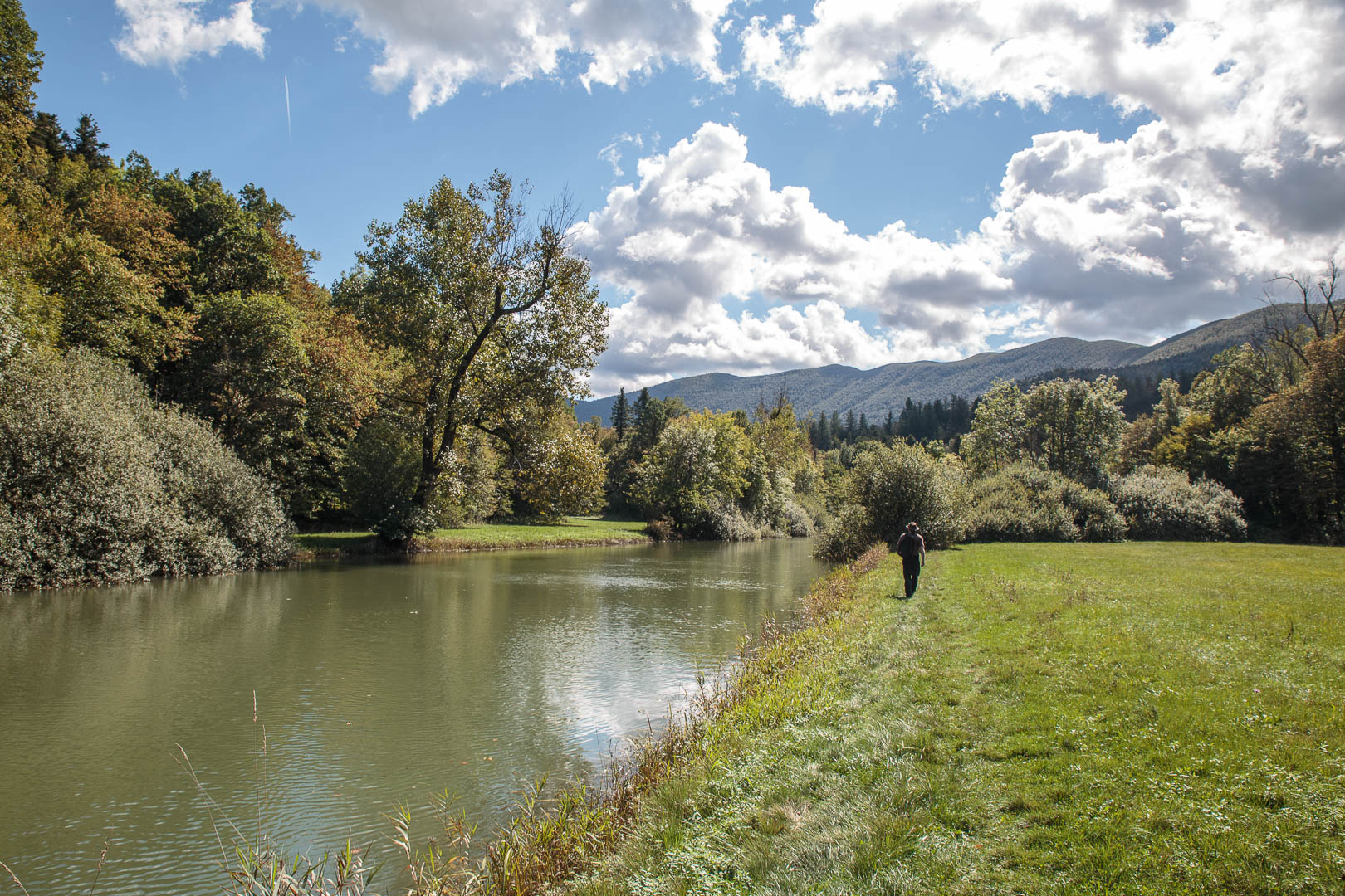 Zoom in 18 septembre 2022 | 13h06.jpg