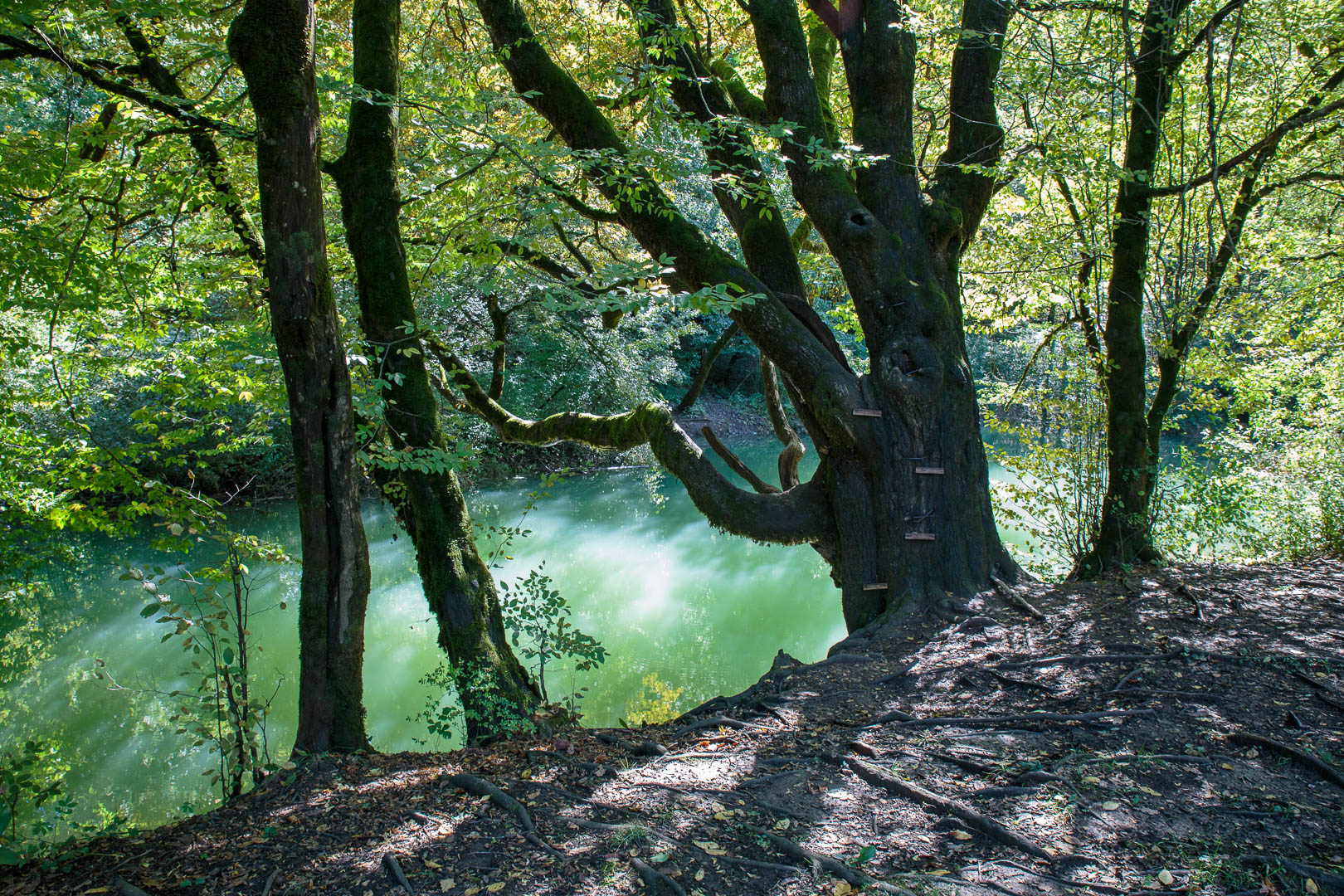 Zoom in 18 septembre 2022 | 13h16.jpg