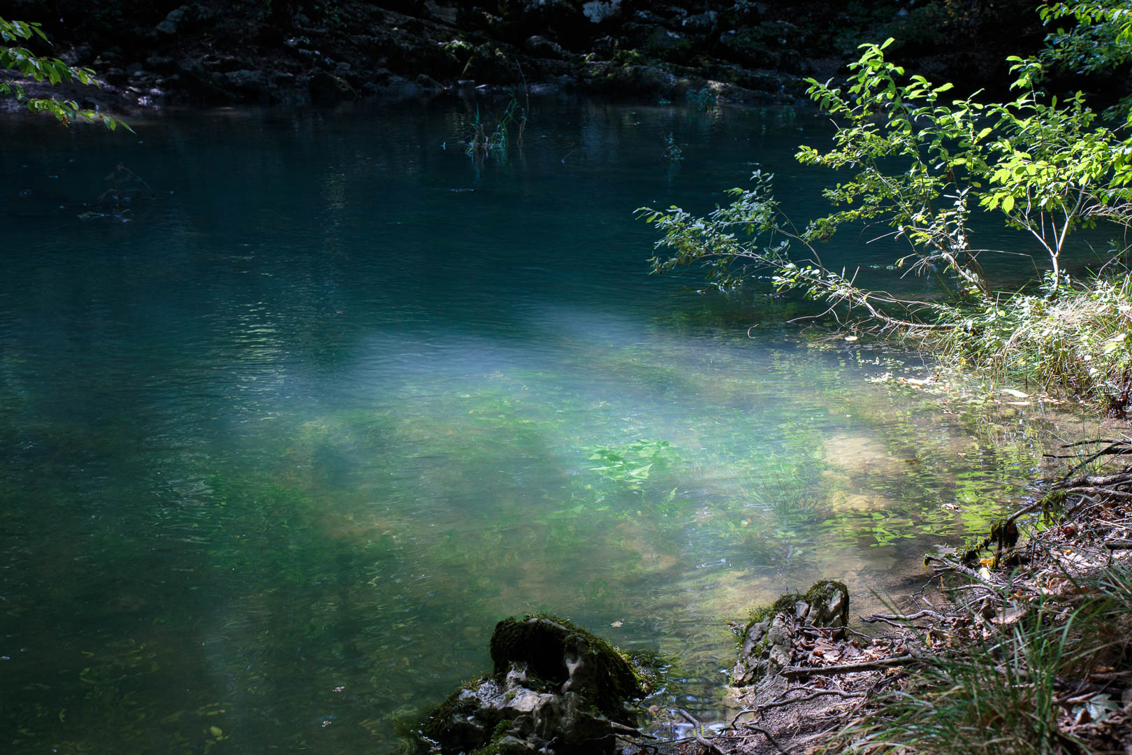 Zoom in 18 septembre 2022 | 13h19.jpg