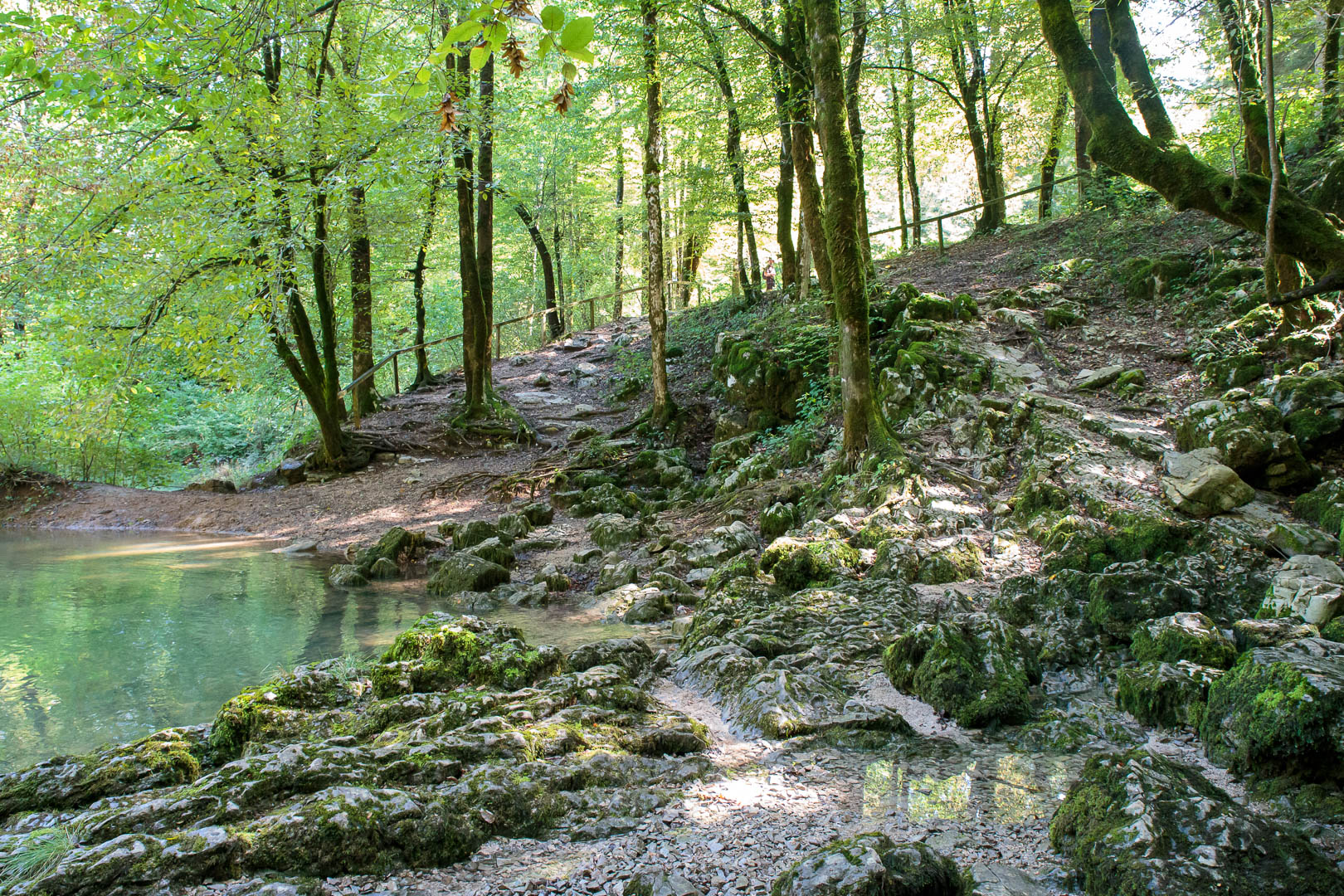 Zoom in 18 septembre 2022 | 13h25.jpg