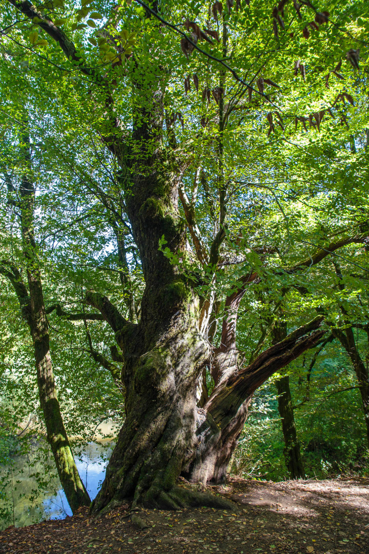 Zoom in 18 septembre 2022 | 13h40.jpg