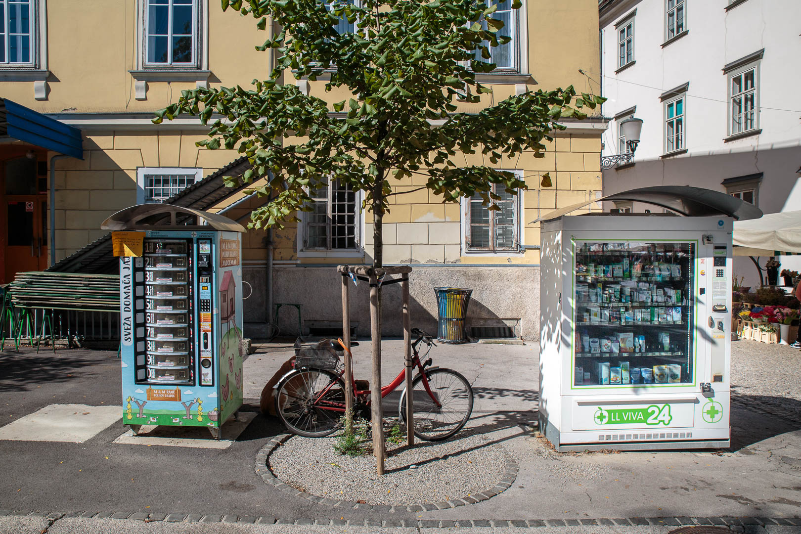 Zoom in 19 septembre 2022 - 10h59.jpg