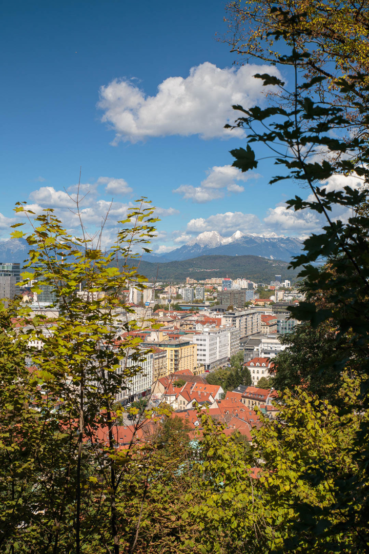 Zoom in 19 septembre 2022 - 12h42.jpg