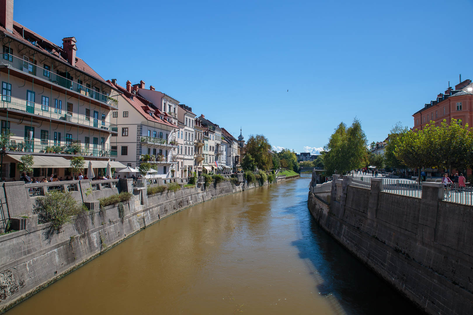 Zoom in 19 septembre 2022 - 14h34.jpg