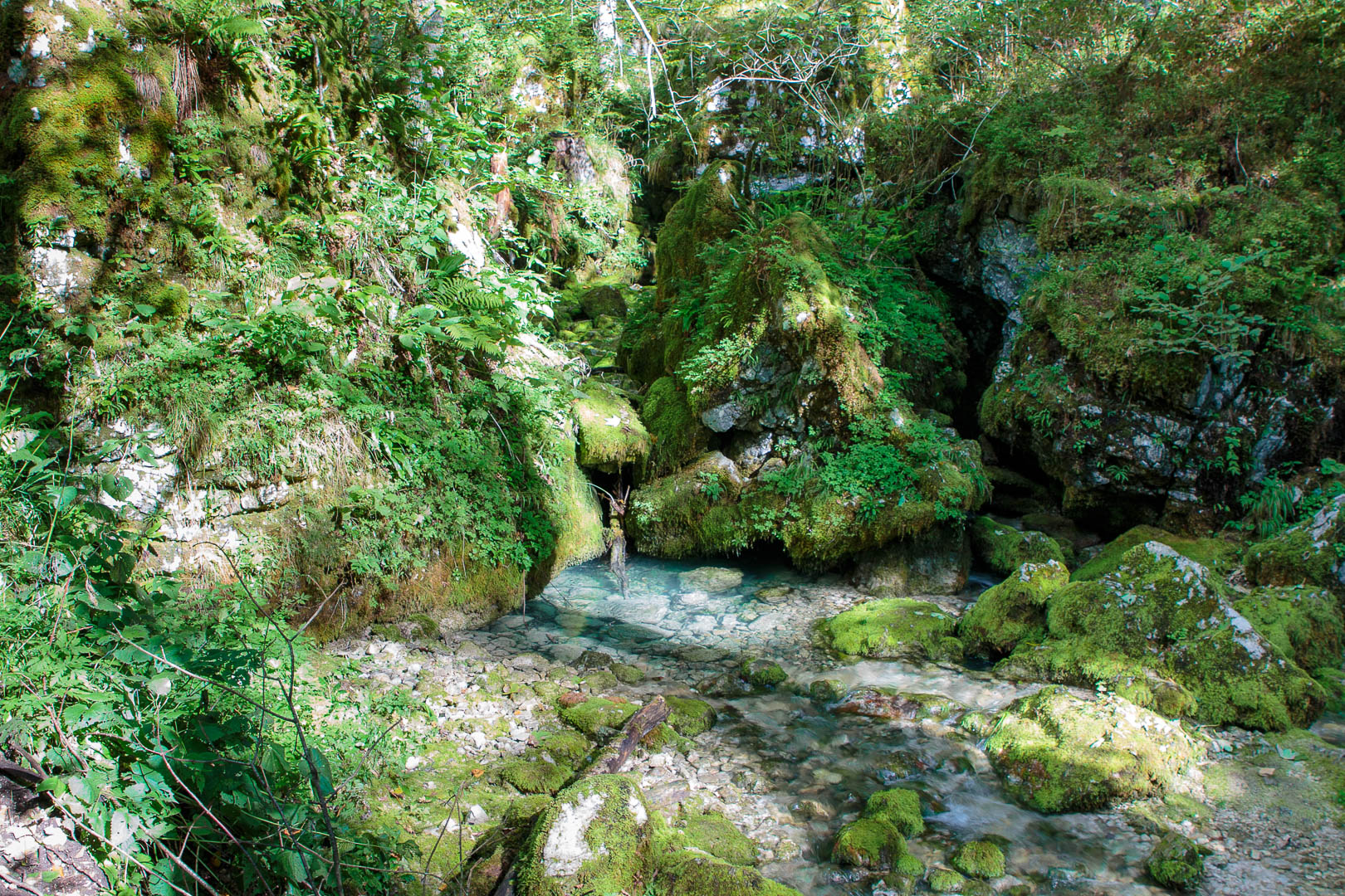 Zoom in 20 septembre 2022 - 10h20.jpg