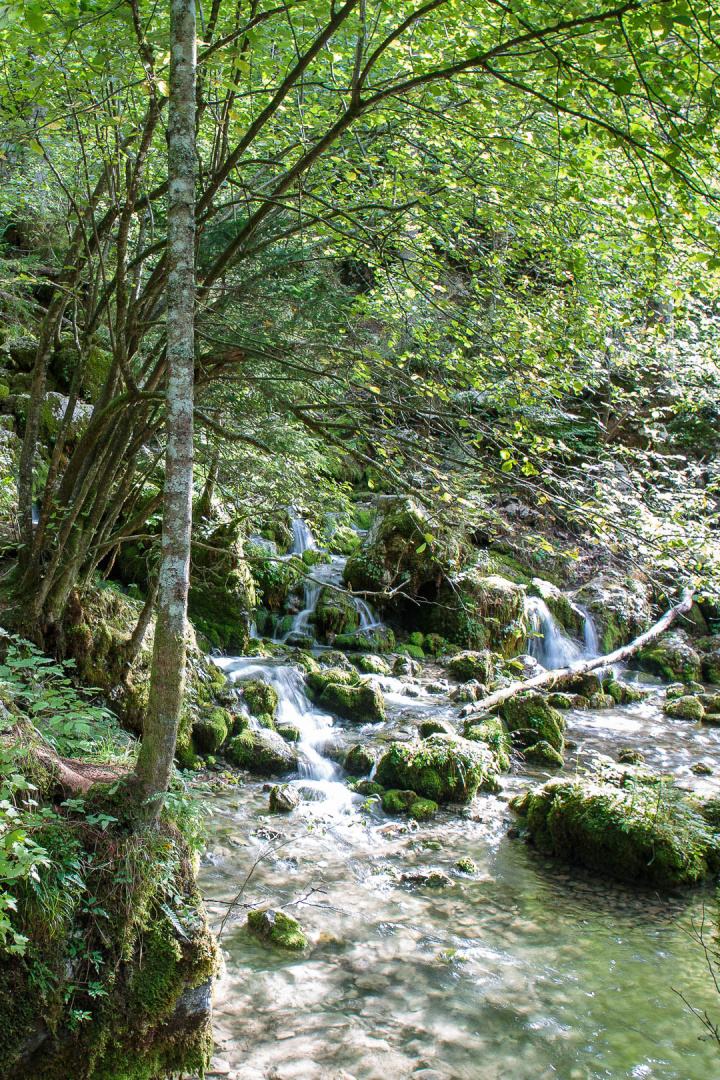 Zoom in 20 septembre 2022 - 10h23.jpg