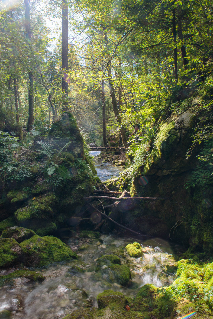 Zoom in 20 septembre 2022 - 10h26.jpg