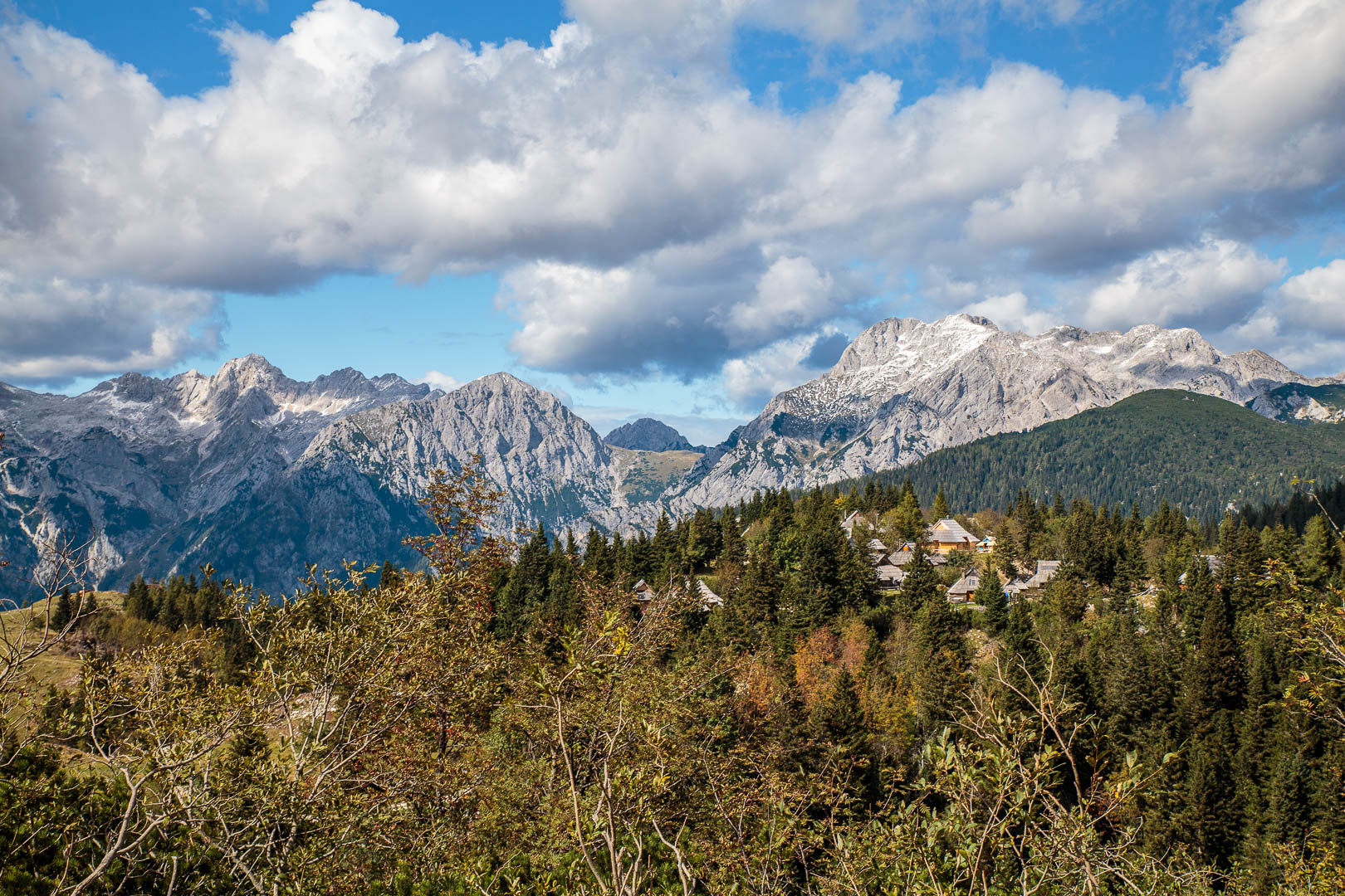 Zoom in 20 septembre 2022 - 13h59.jpg