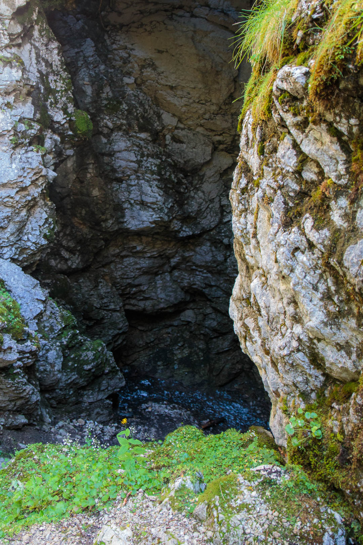 Zoom in 20 septembre 2022 - 14h24.jpg