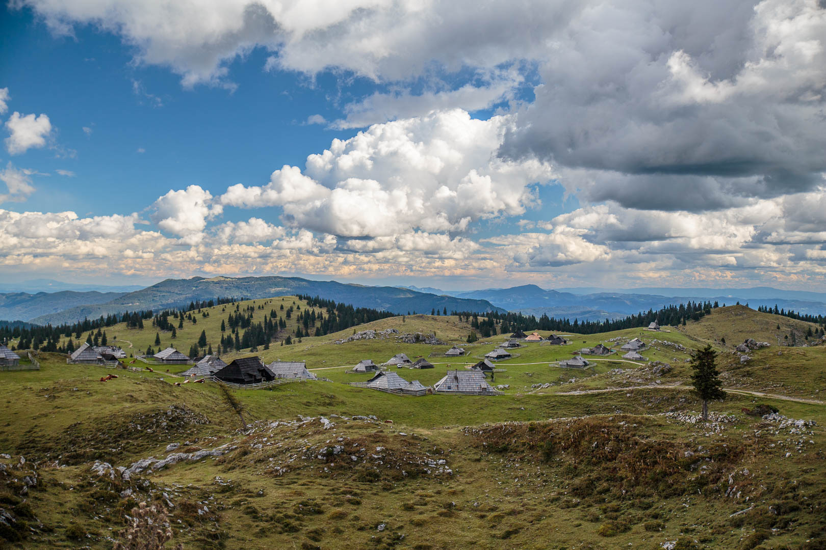 Zoom in 20 septembre 2022 - 14h36.jpg