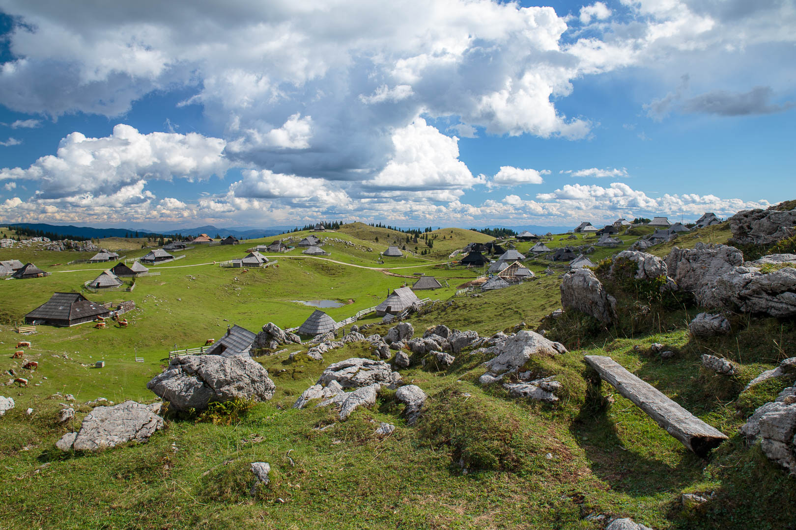 Zoom in 20 septembre 2022 - 14h45.jpg