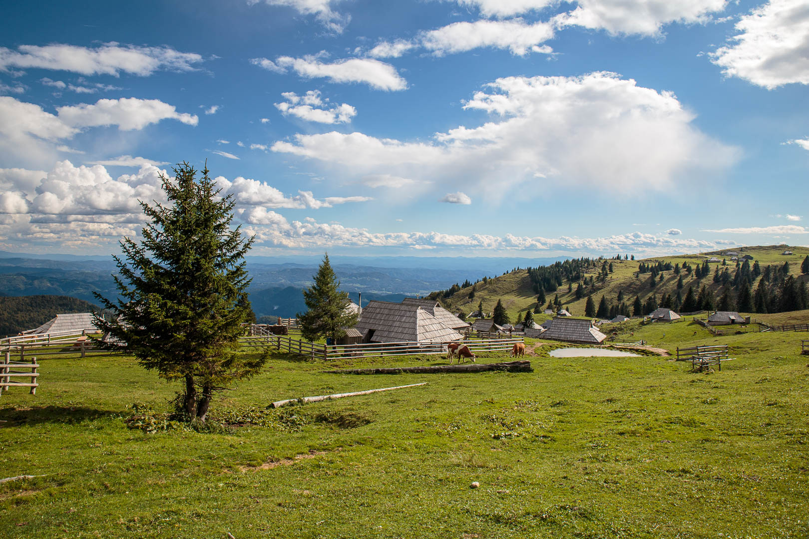 Zoom in 20 septembre 2022 - 15h35.jpg