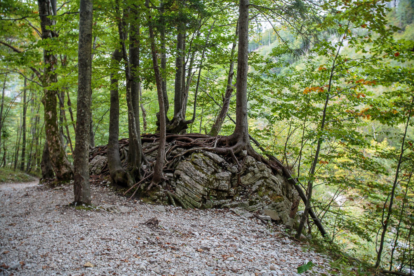 Acercarseiembrepg 21 septembre 2022 - 15h13.jpg