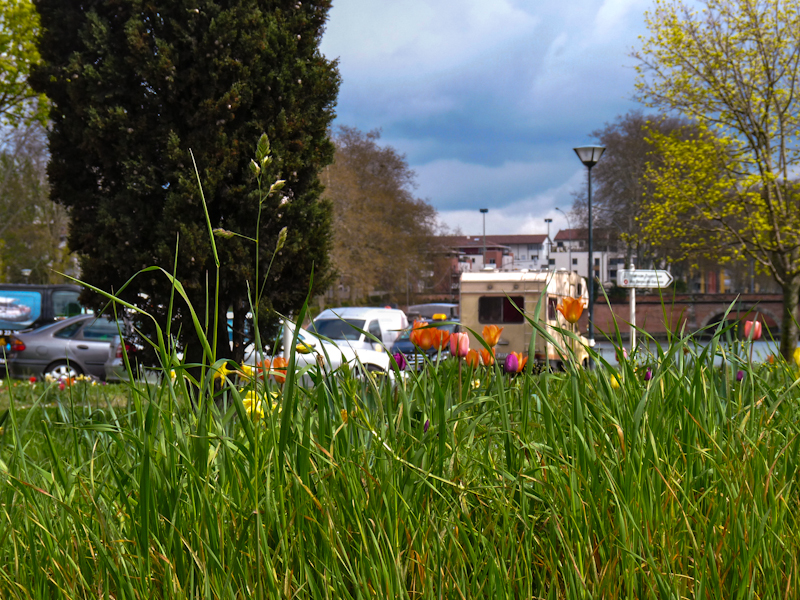 Zoom in 29 mars | 12h43