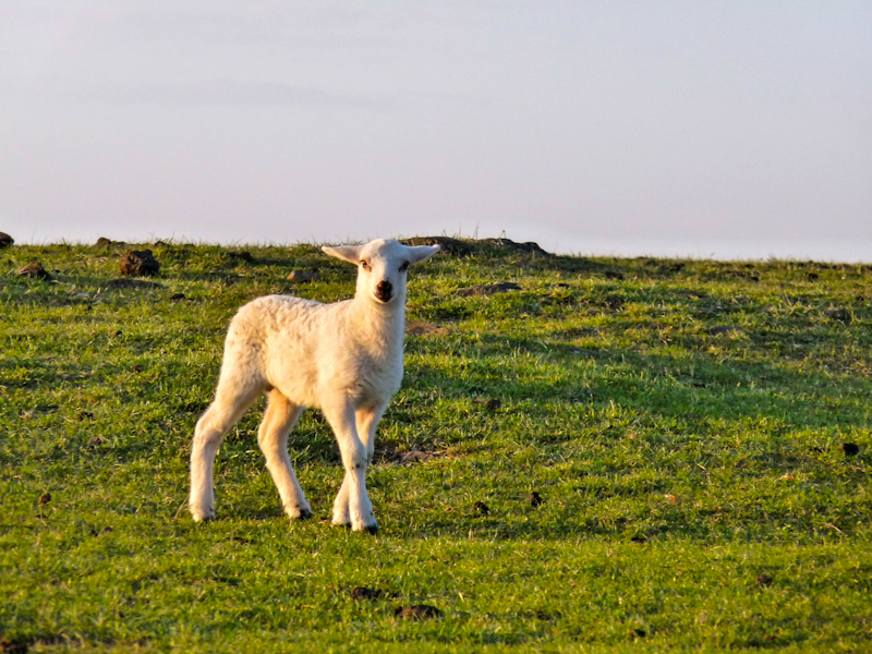 Zoom in 21 avril | 18h56