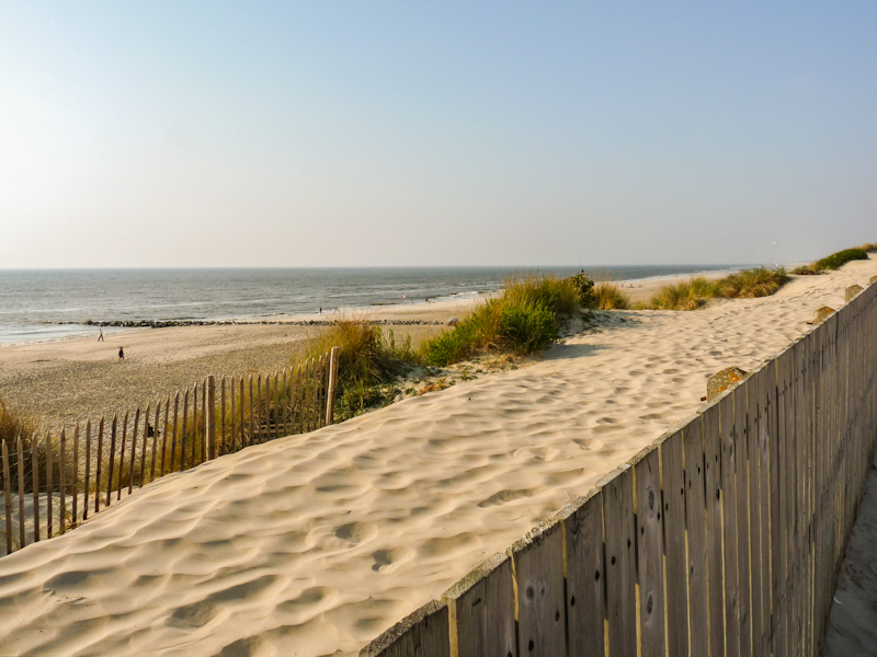 Zoom in 25 avril | 17h23