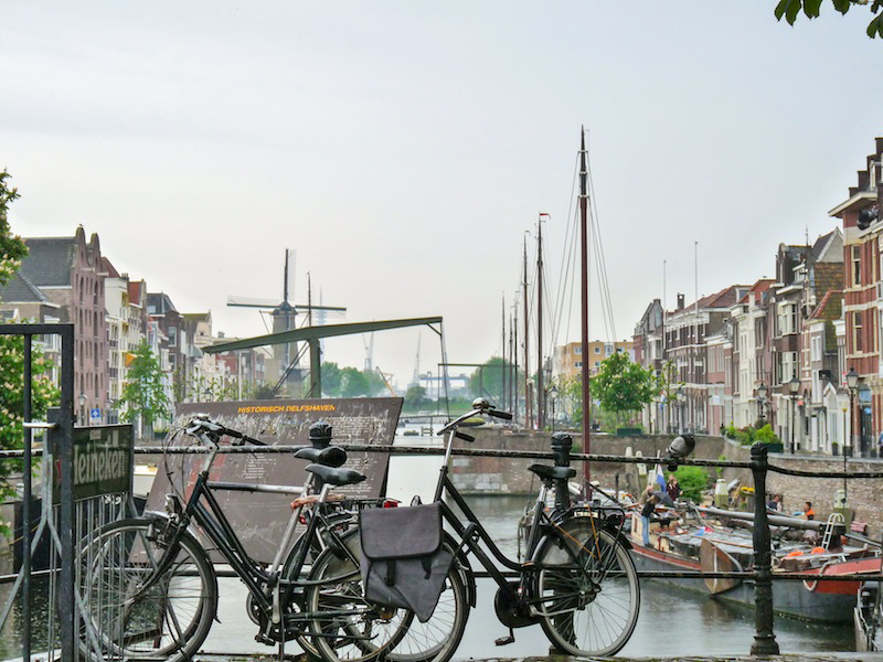 Zoom in 28 avril | 13h05