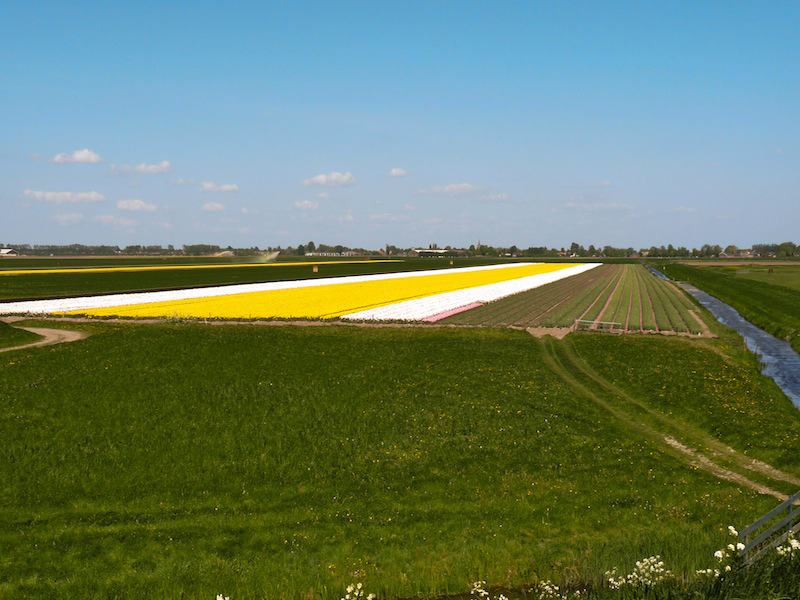 In zoomH20 1er mai | 15h20