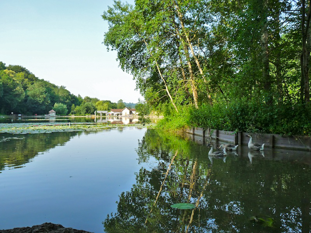 In zoomH55 30 juin | 7h55