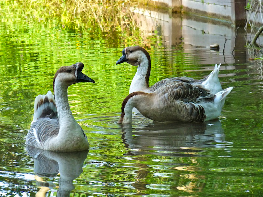 In zoomH58 30 juin | 7h58