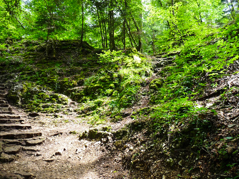 In zoom 3 juillet | 14h03