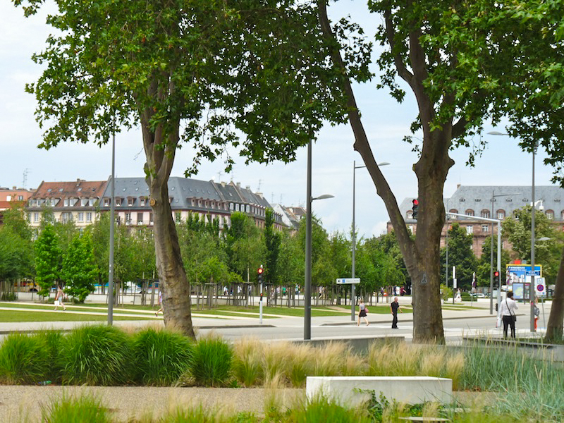 Im zoom 5 juillet | 13h03