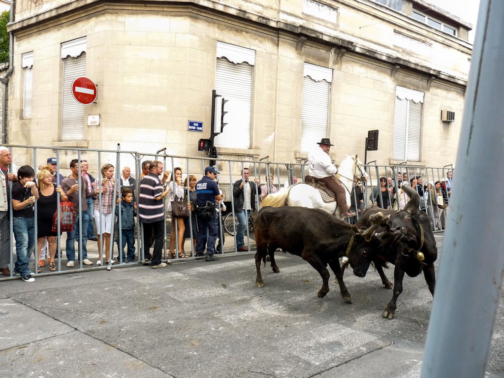 Zoom in 18 septembre | 12h32