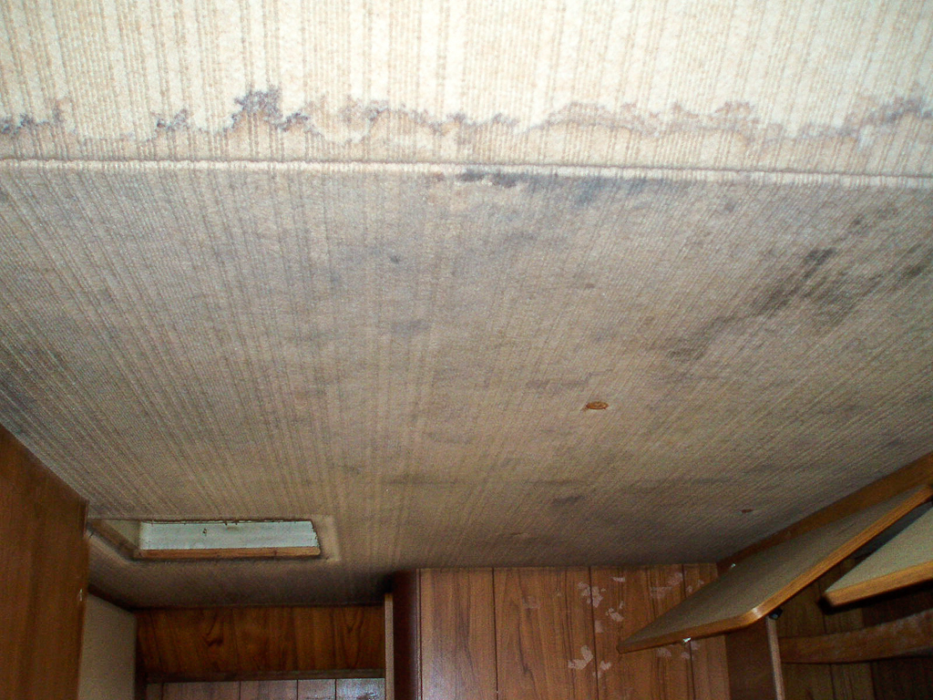 Im zoomar 17 janvier | 17h05