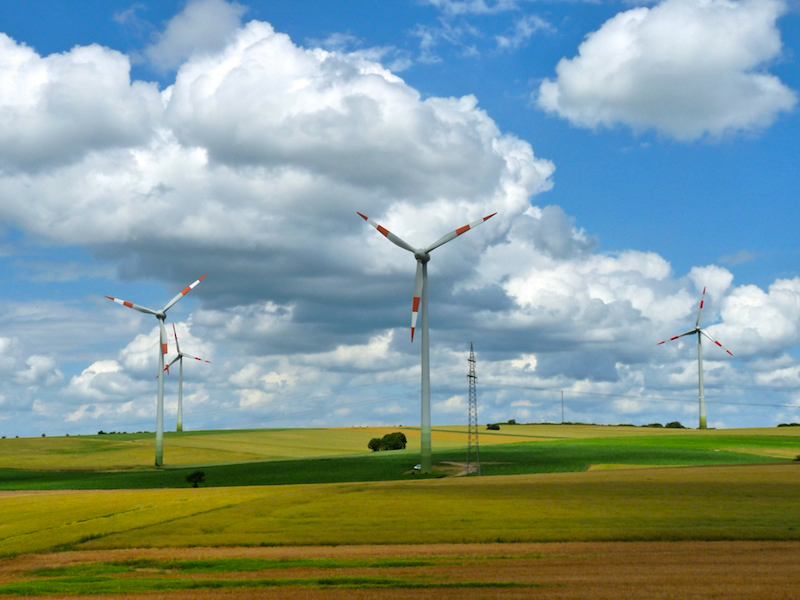 Im zoom 6 juillet | 14h08