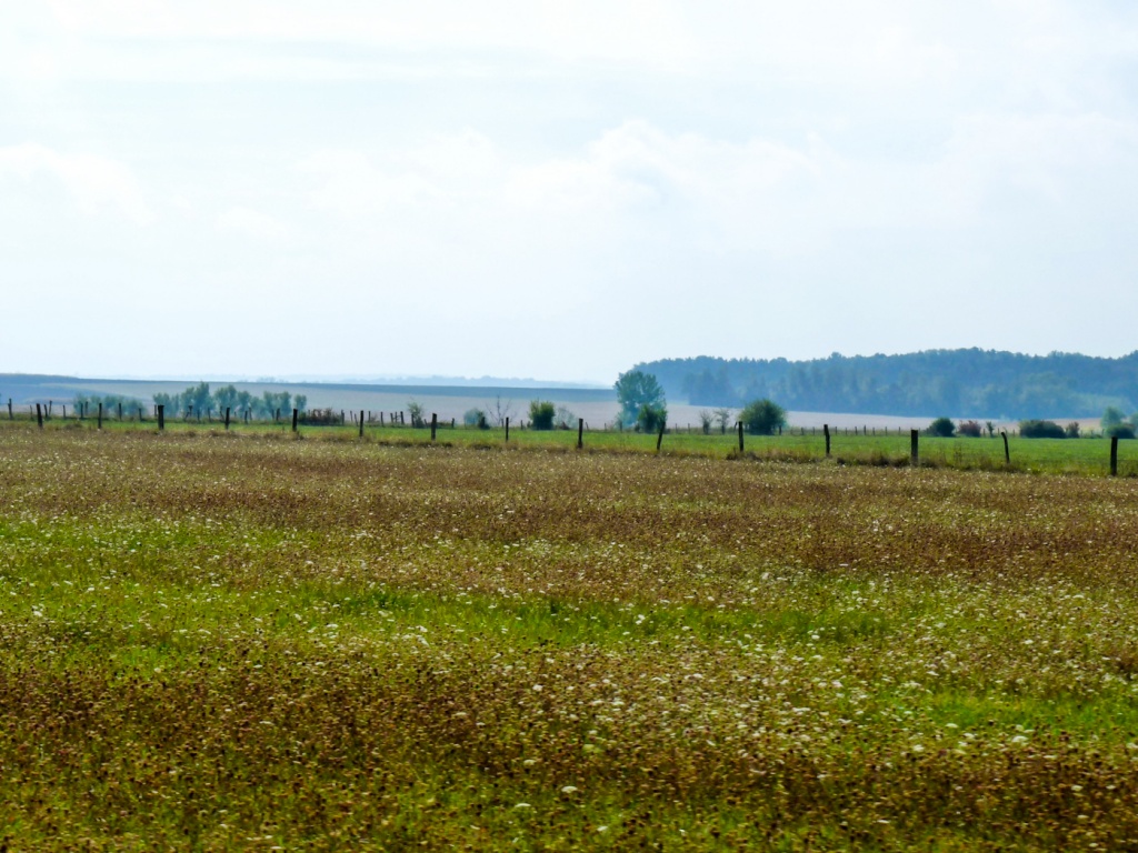 Acercarseiembre 22 septembre | 12h24